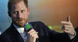 Watching Prince Harry address the Kyiv Security Forum on a secret visit, I wasn't sure whether to laugh or cry, writes Amanda Platell. He said in all solemnity: 'I am not here as a politician.'