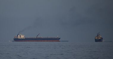Oil tankers and cargo ships line up in the Strait of Hormuz as seen from the United Arab Emirates. According to a Daily Mail/JL Partners flash poll of over 1,000 registered voters, the nation is split on whether the US should withdraw from NATO following the refusal of other member states to contribute military support for reopening the Strait of Hormuz