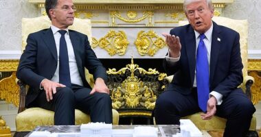 Trump meets with NATO Secretary General Mark Rutte in the Oval Office of the White House back in October of last year. Addressing the 'daddy' nickname for Trump, he told the Daily Mail today: 'In Dutch , you would say ¿ the translation of your father is daddy ¿ and I said, 'sometimes daddy has to be angry'