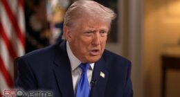 President Donald Trump claimed Democrats helped 'radicalize' the gunman who opened fire at the White House Correspondents' Dinner