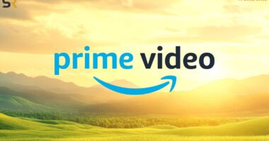 3 Prime Video Shows With A Perfect Rotten Tomatoes Score You Should Watch This Weekend (#1 Is A 10/10 Hidden Gem)