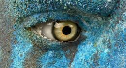 40 Unique Sculptures That Turn The Sea Floor Into A Living Art Gallery While Restoring Fragile Ecosystems