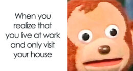 45 Memes About The Job Market That Are As Funny As They Are Painful
