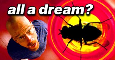 47 Subtle And Interesting Displays Of Intelligence – TVovermind