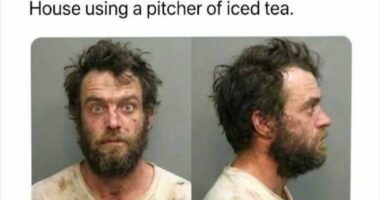 &ldquo;Forbidden Dumplings&rdquo;: 51 Unhinged Memes That Might Make Your Inner Goblin Laugh