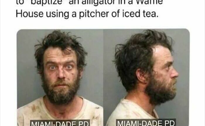 &ldquo;Forbidden Dumplings&rdquo;: 51 Unhinged Memes That Might Make Your Inner Goblin Laugh