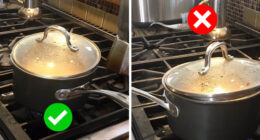 55 Safety Tips Everyone Should Know