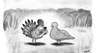 61 Witty One-Panel Comics By Tom Toro (New Pics)