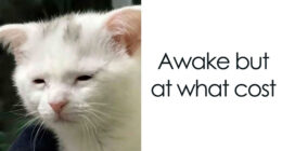 75 Unhinged And Wild Memes That Might Make Your Day Better