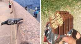 77 Cursed Images So Unhinged, You Might Wonder What Corner Of The Internet They Crawled Out From – TVovermind