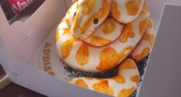 89 Bakers Whose Amazing Creations Deserve Michelin Stars (New Pics)