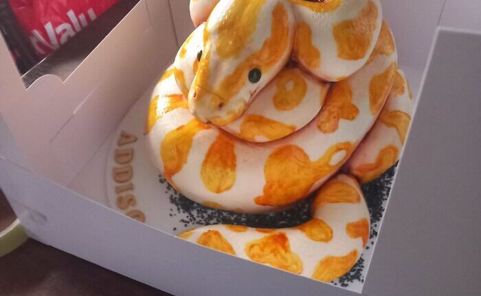 89 Bakers Whose Amazing Creations Deserve Michelin Stars (New Pics)