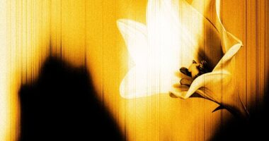 Released ahead of a ‘defiantly joyful’ new U2 album, due later this year, Easter Lily is being billed as a more reflective, personal piece of work than their last EP, Days Of Ash