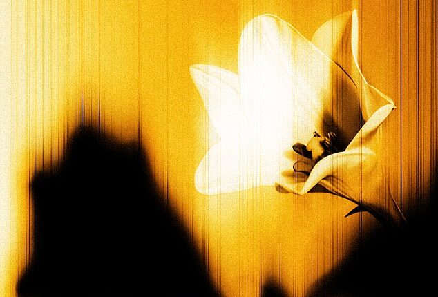 Released ahead of a ‘defiantly joyful’ new U2 album, due later this year, Easter Lily is being billed as a more reflective, personal piece of work than their last EP, Days Of Ash