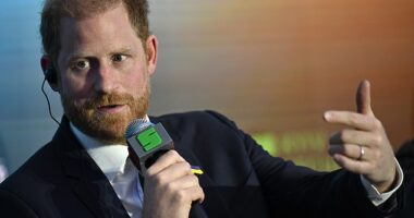 Watching Prince Harry address the Kyiv Security Forum on a secret visit, I wasn't sure whether to laugh or cry, writes Amanda Platell. He said in all solemnity: 'I am not here as a politician'