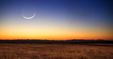 Physical sensations hold the power to reveal tangible truths today as messenger planet Mercury links with Uranus in Taurus just in time to allow us to feel the potency of the upcoming New Moon in Aries. Stock image used