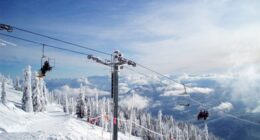 Albertans Reach the Separation Signature Threshold