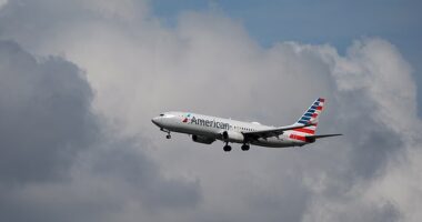 An American Airlines flight has been diverted to Tucson, Arizona after a fire broke out board a plane, according to local news outlets. (Pictured: An American Airlines plane in flight)