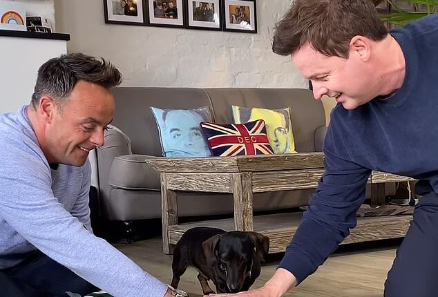 Ant and Dec fans were left in hysterics on Friday night after a viral challenge went very wrong