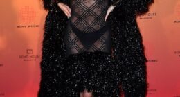 Ashley Roberts, 44, donned a sheer black dress with a plunging neckline, and a flamboyant feather hem as she arrived at the BRITs afterparty