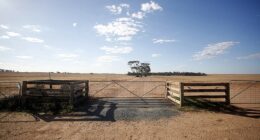 The front gates to what had been Richard Wills' slice of his parents' former farm. Police tape (left) remained taped to a gate this week