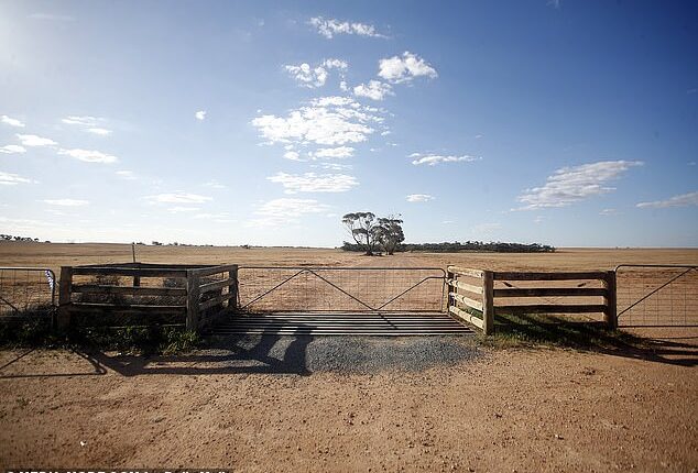 The front gates to what had been Richard Wills' slice of his parents' former farm. Police tape (left) remained taped to a gate this week