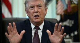 President Donald Trump told reporters in the Oval Office Tuesday that he planned to travel to the Supreme Court Wednesday morning to listen to oral arguments in the birthright citizenship case