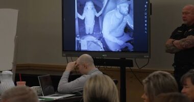 Audio Of Athena Strand’s Final Moments With FedEx Driver Makes Jurors Sob As Her Family Leaves Courtroom – TVovermind