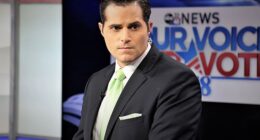 Beloved TV anchor exposed Clinton bombshell before 'suicide'. Now his loved ones reveal alarming claims about his final days, autopsy and wife's 'terrible mistake' phone call