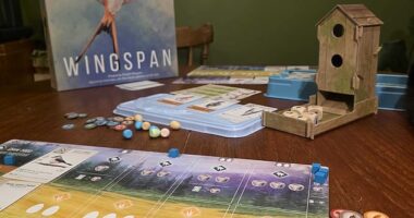 Best board games: Your ultimate guide to what to play from cult classics to the fun garden-friendly games you can play with the whole family