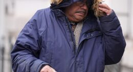 Black rights activist, 70, expelled from Labour party for making Jewish MP cry appears in court charged with two sex assaults