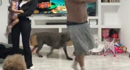 Britain's Got Talent's Stavros Flatley looked worlds away from his appearance on the hit ITV show 16 years ago