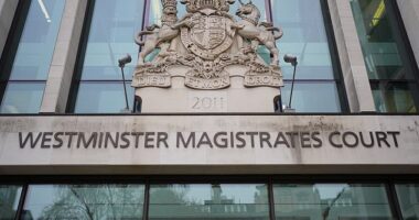 Jermaine Grant, 43, of no fixed address, appeared at Westminster Magistrates' Court (pictured, file photo) on Thursday over the charges