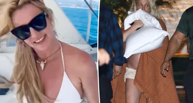 Britney Spears checked into rehab by ‘choice,’ is ‘dedicated’ to recovery