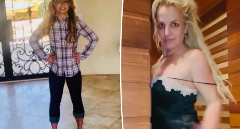 Britney Spears checks into rehab for substance abuse weeks after DUI arrest