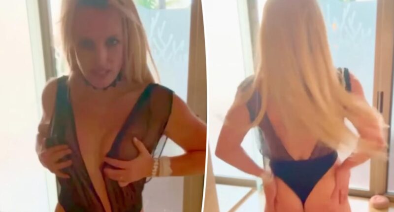 Britney Spears posts bizarre butt-slapping dance video hours before rehab news