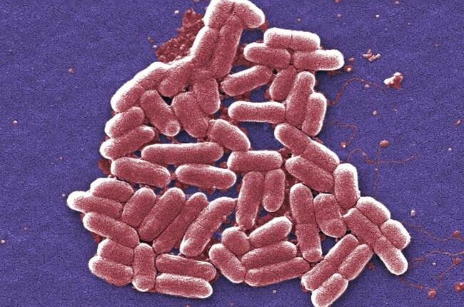CCP Member and Biology Researcher at U.S. University Guilty in E. Coli DNA Smuggling Scheme From China – RedState