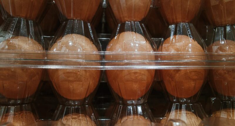 Cal-Maine’s stock falls as DOJ reportedly weighs bigger crackdown on major egg producers