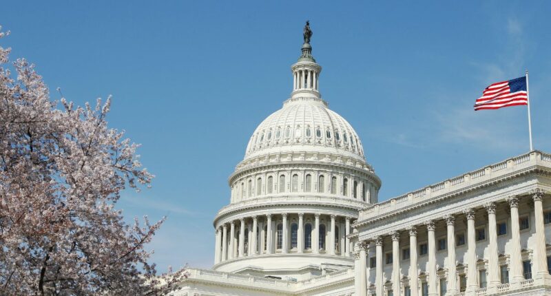 capitol with cherry blossom tree