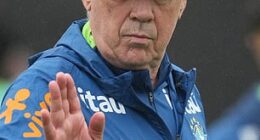 Carlo Ancelotti spoke to Brazil's president