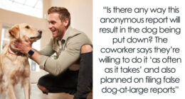 Cheater Lady Boasts About Using Ex’s Dog To Get Revenge, Animal-Lover Coworker Says Not So Fast