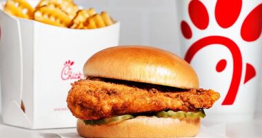 The regular Chick-fil-A sandwich comes with pickles, a buttermilk ranch bun and a breaded chicken breast