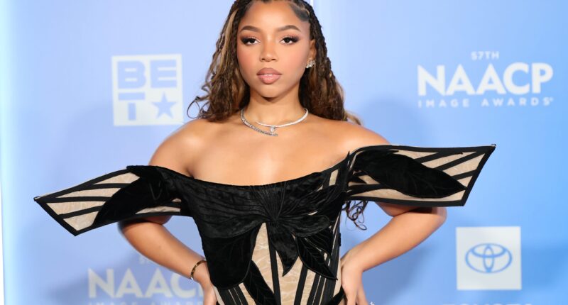 Chloe Bailey Checks Social Media User For Trying To Shut Down Her "Baddie" Energy