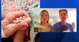 Couple Suing Fertility Clinic Over IVF Mix-Up Finally ID Baby’s Biological Parents – TVovermind