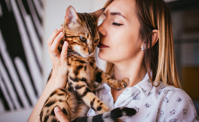 Crazy Cat Lady Wants K-Drama Romance, But Chooses Her Cat Over Men, Then Wonders Why They Leave