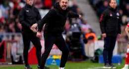 Vultures will be circling N17 long before the final day of the season if Roberto De Zerbi cannot revive this desperate Tottenham campaign