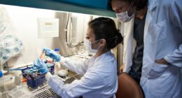 Crohn’s breakthrough as scientists find trigger that could help develop treatments