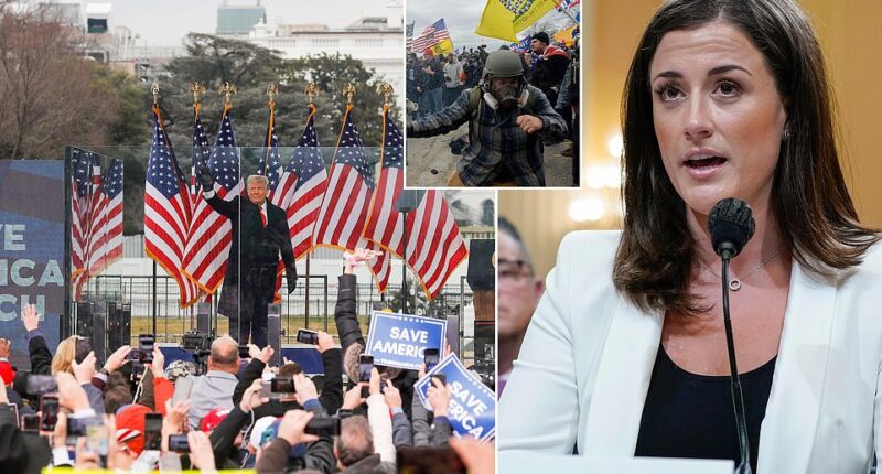 The Department of Justice has opened a probe into a glamorous former White House aide who turned on President Donald Trump after the January 6 Capitol riot. Cassidy Hutchinson, 29, who implicated Trump with her testimony before congressional January 6 investigators, is the subject of a DOJ investigation, four sources familiar with the matter told the New York Times . Ex-Attorney General Pam Bondi opened the investigation just weeks before Trump fired her, in a bid to 'placate' the President's desire to prosecute his enemies, the report states.