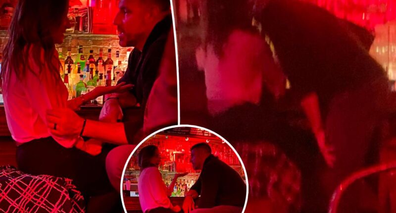 Dianna Russini and married Mike Vrabel caught kissing at NYC bar taken 6 years before scandal