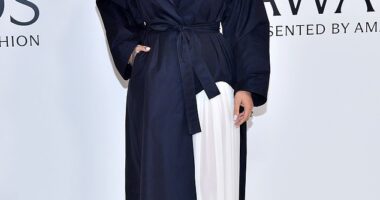The woman charged with firing multiple rounds into Rihanna's (pictured November 3) $13.8 million Beverly Hills mansion while she was home with her family on Sunday did so deliberately, according to the criminal complaint